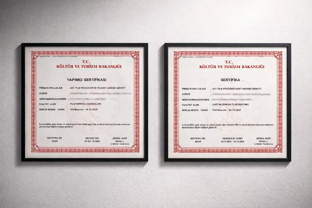 18禁影视制作许可证书展示